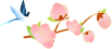 01-1.png