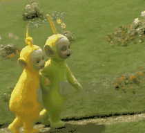 06.gif