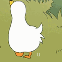 02.gif 02.gif