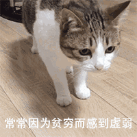 04.gif