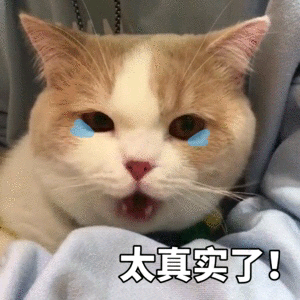 05.png