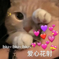 02.png 02.png