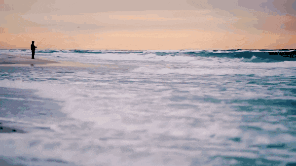 02.gif