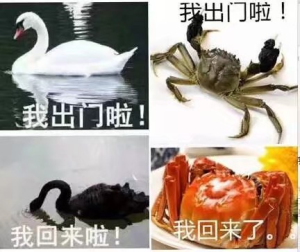 a01.png