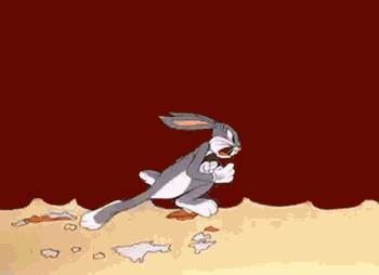 01.gif