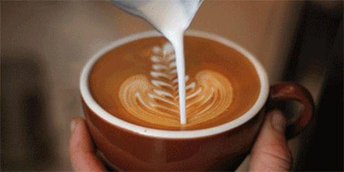 02.gif